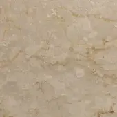 Botticino marble texture with beige and tan tones, displaying golden-brown veining and circular fossil inclusions, polished surface.